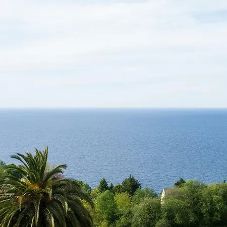 Boutique Ocean Terrace Luxury - Sshousing Lägenhet *